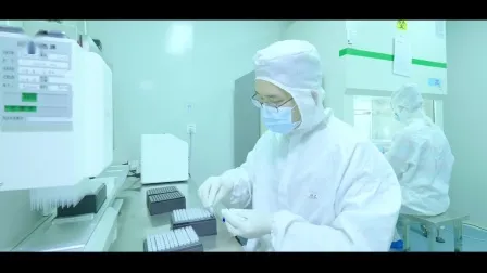 Nucleic Acid Rapid PCR Test Virus Checking Device at Home