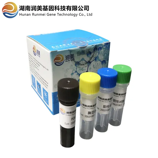 Virus Nucleic Acid PCR Fluorescence Detection Kit Sequencing Reagents 