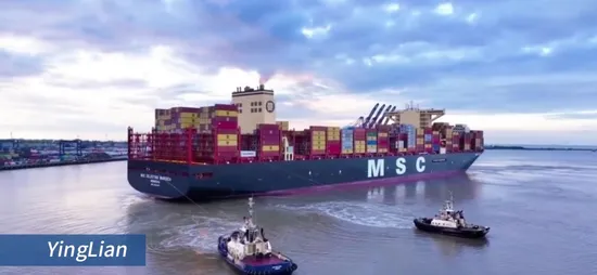 The Most Reliable Customs Clearance with Professional Credential 