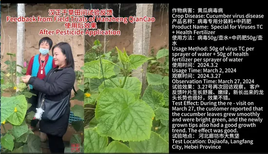Bacteria and Viruses Auxiliary Synergistic Additive 